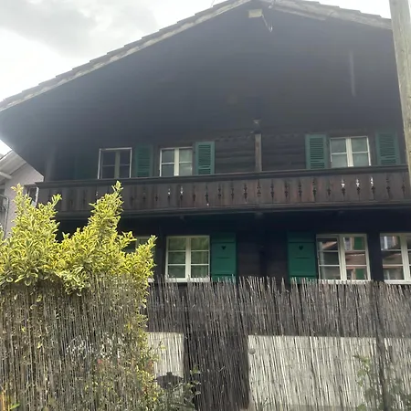 Apartment Olti Bonigen